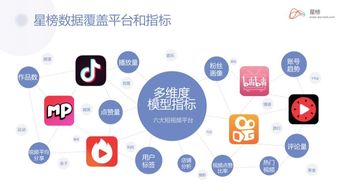 星榜加入中國商務(wù)廣告協(xié)會數(shù)字營銷委員會 引領(lǐng)廣告業(yè)務(wù)新篇章